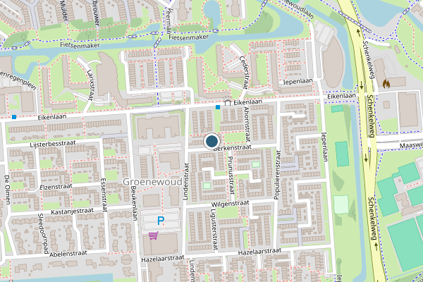 Politie-melding op Berkenplein, Spijkenisse op 29 juni, kaart-overzicht