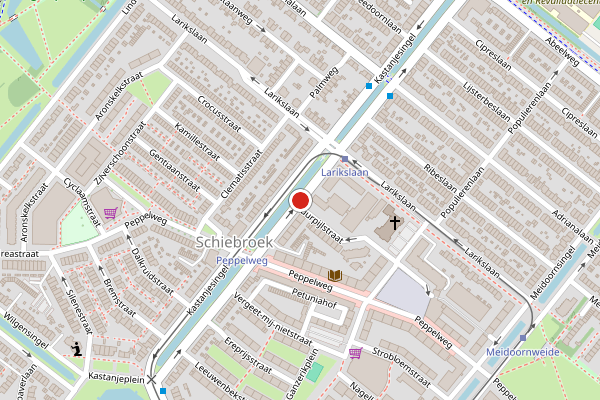 Brandweer-melding op Kastanjesingel, Rotterdam op 29 juni, kaart-overzicht