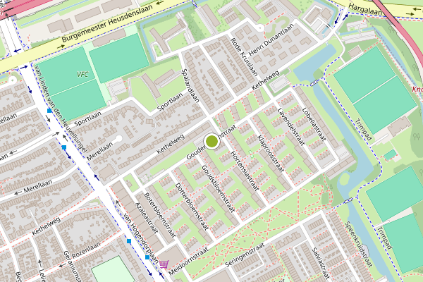 Ambulance-melding op Goudenregenstraat, Vlaardingen op 8 juli, kaart-overzicht