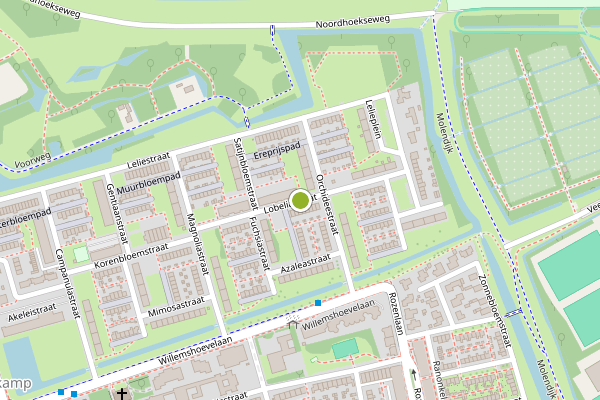 Ambulance-melding op Lobeliastraat, Spijkenisse op 16 juli, kaart-overzicht