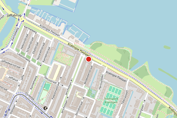 Brandweer-melding op Kralingse Plaslaan, Rotterdam op 11 mei, kaart-overzicht