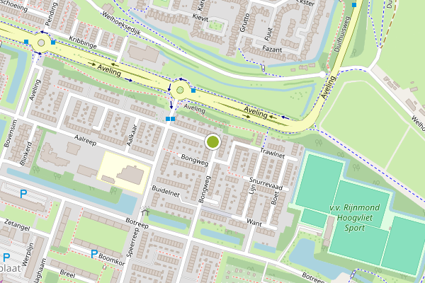Ambulance-melding op Bongweg, Hoogvliet op 23 juli, kaart-overzicht