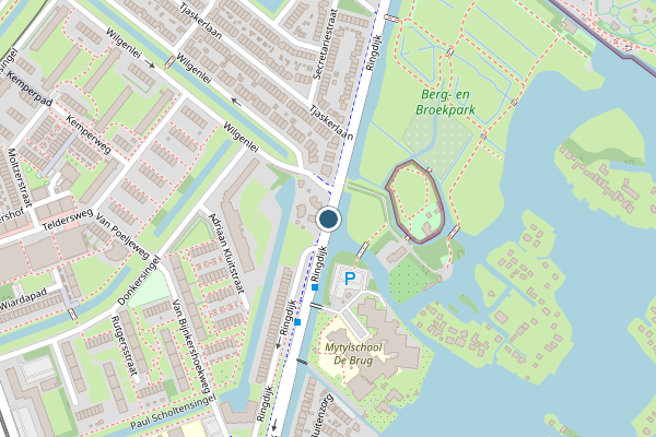 Politie-melding op Ringdijk, Rotterdam op 30 juli, kaart-overzicht