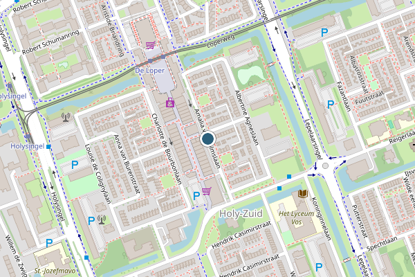 Politie-melding op Amalia van Solmslaan, Vlaardingen op 21 mei, kaart-overzicht