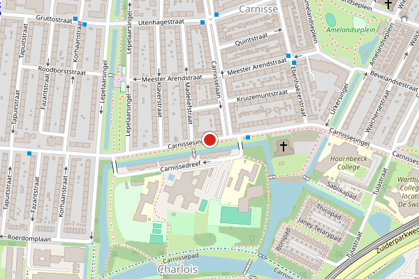 Brandweer-melding op Carnissesingel, Rotterdam op 29 mei, kaart-overzicht