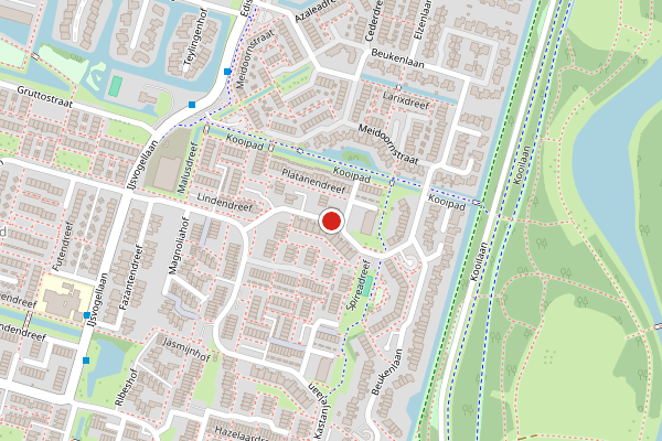 Brandweer-melding op Goudenregenstraat, Bleiswijk op 4 juni, kaart-overzicht