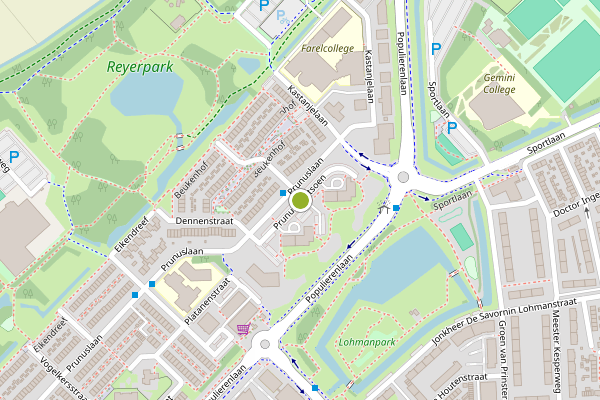 Ambulance-melding op Prunusplantsoen, Ridderkerk op 7 juni, kaart-overzicht