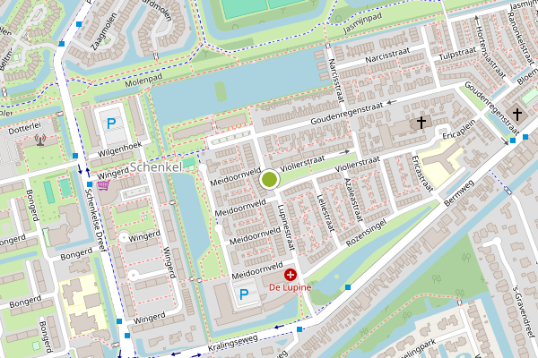 Ambulance-melding op Lupinestraat, Capelle aan den IJssel op 9 juni, kaart-overzicht