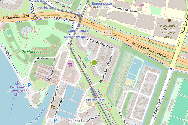 Ambulance-melding op Dries van der Vlerkstraat, Rotterdam op 11 juni, kaart-overzicht