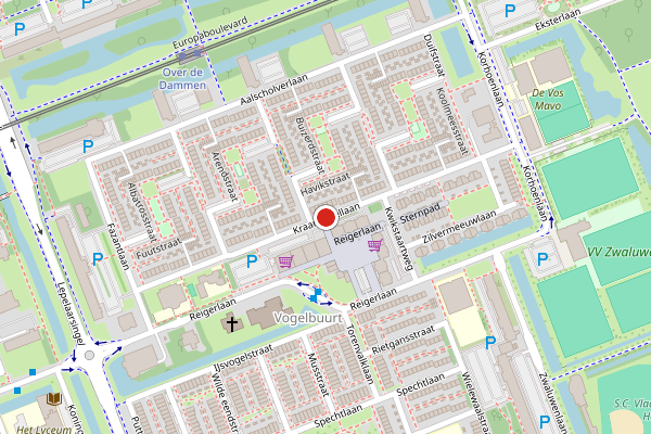Brandweer-melding op Kraanvogellaan, Vlaardingen op 12 juni, kaart-overzicht