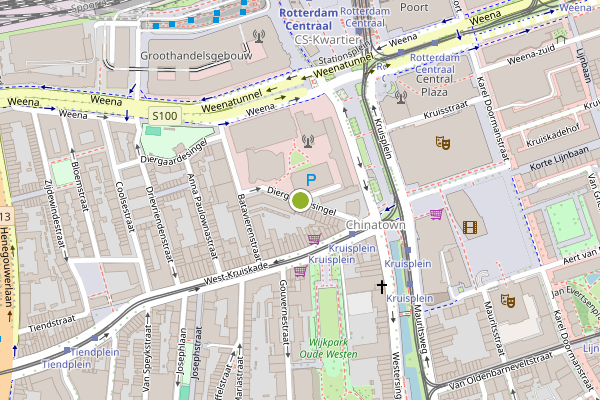 Ambulance-melding op Diergaardesingel, Rotterdam op 15 juni, kaart-overzicht