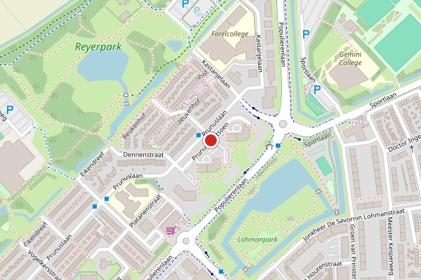 Brandweer-melding op Prunusplantsoen, Ridderkerk op 19 juni, kaart-overzicht