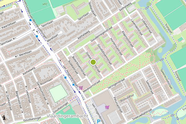 Ambulance-melding op Dotterbloemstraat, Vlaardingen op 26 juni, kaart-overzicht